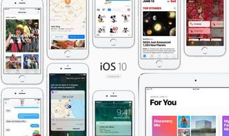 軟件系統(tǒng)資訊與專業(yè)軟件咨詢服務(wù) 驅(qū)動企業(yè)數(shù)字化轉(zhuǎn)型的雙引擎